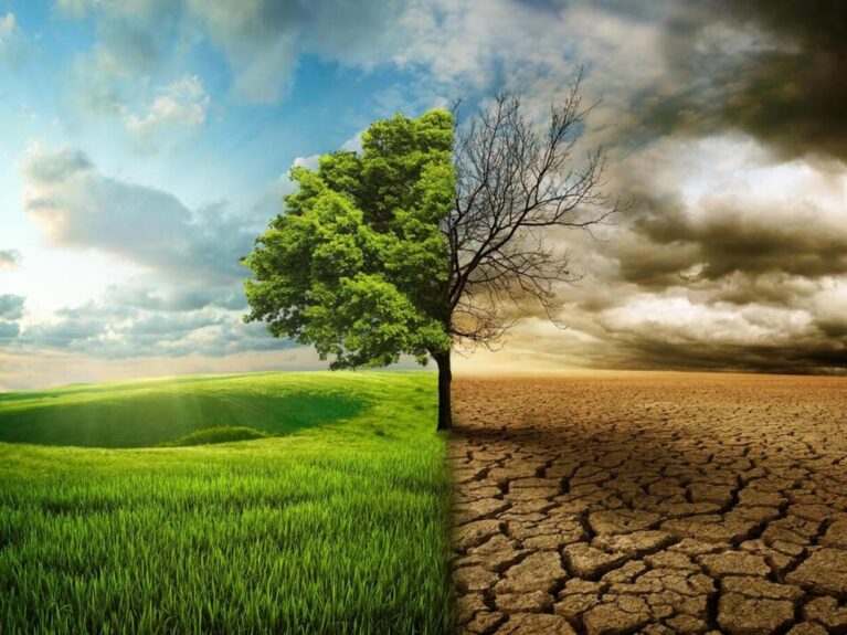 Environmental benefits of solar energy